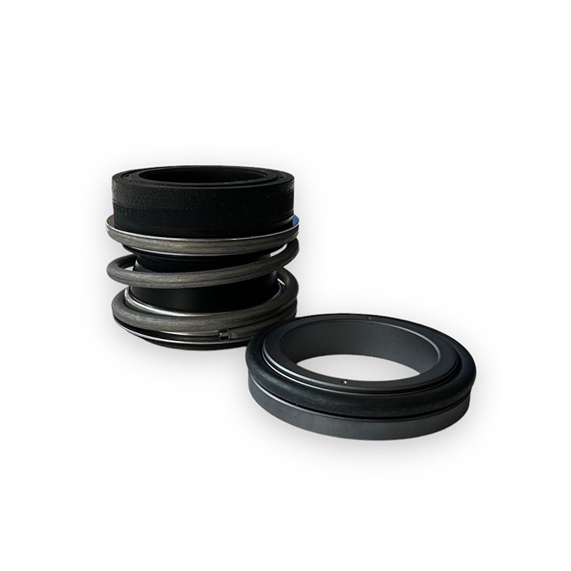 Mechanical seal for ACB531 Gianneschi