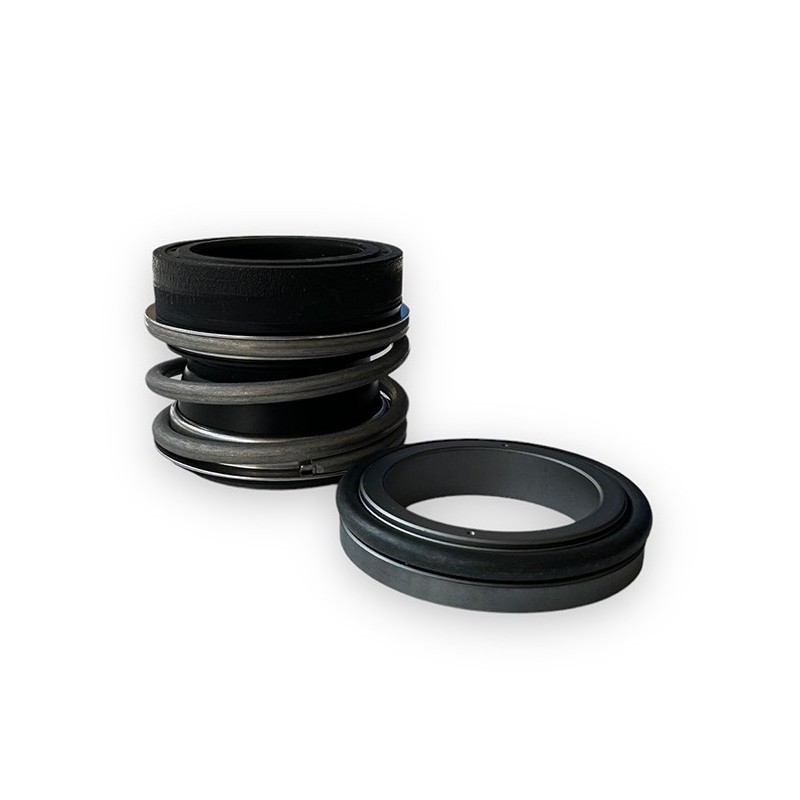 Mechanical seal for BMA-S/BMA-M Gianneschi