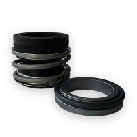 Mechanical seal for BMA-S/BMA-M Gianneschi