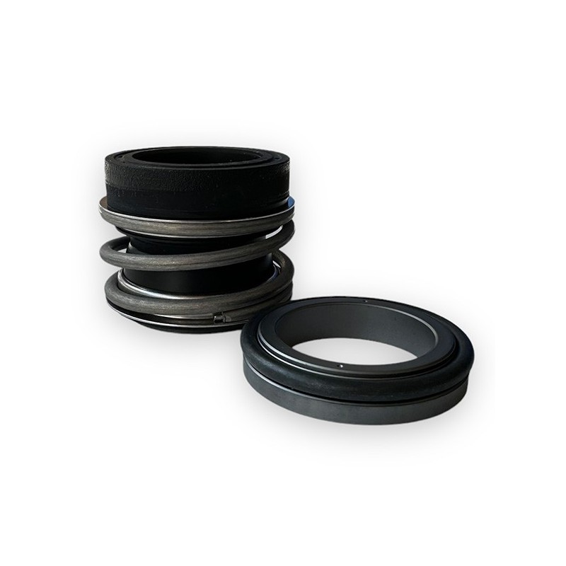 Mechanical seal for BMA-S55/170 Gianneschi