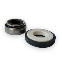 Mechanical seal for CP30 Gianneschi