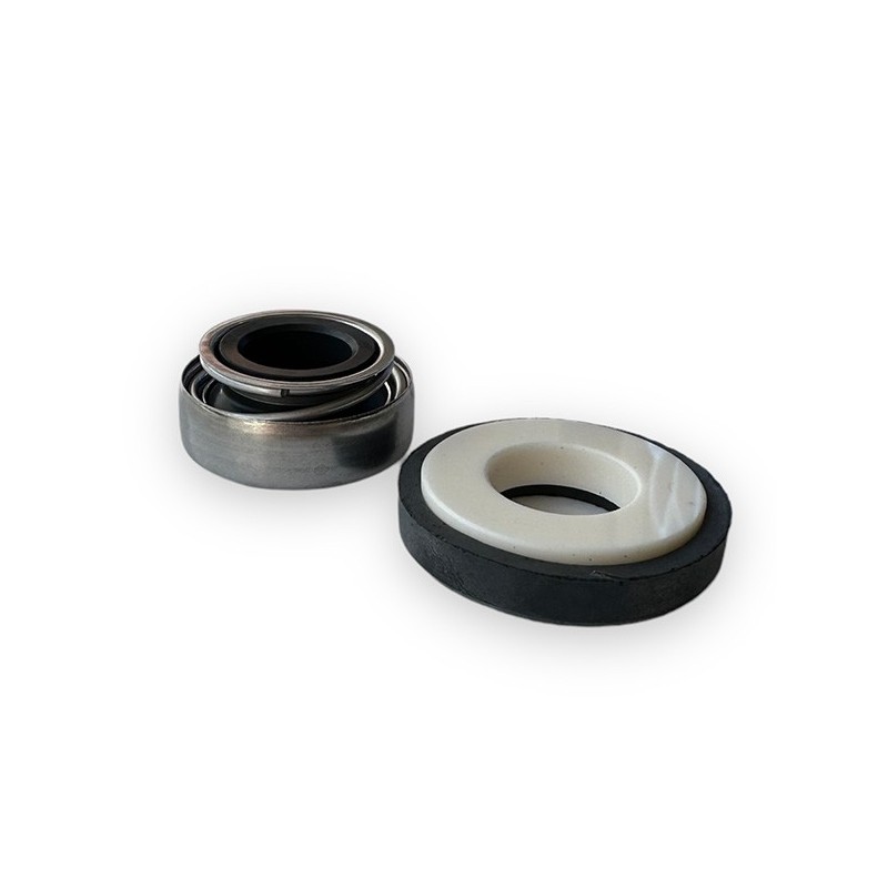 Mechanical seal for CP40 Gianneschi