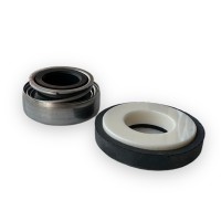 Mechanical seal for CP40 Gianneschi