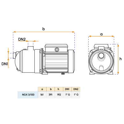 Pompe de surface NGX 3/100 230 V - Calpeda | Lyvio Marine