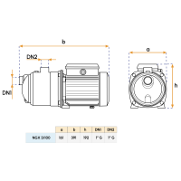 Calpeda NGX 3/100 230 V Surface Pump - Lyvio Marine