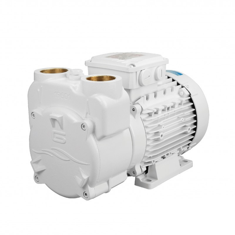 Насос CP45G Gianneschi 230 В – самовсасывающий морской