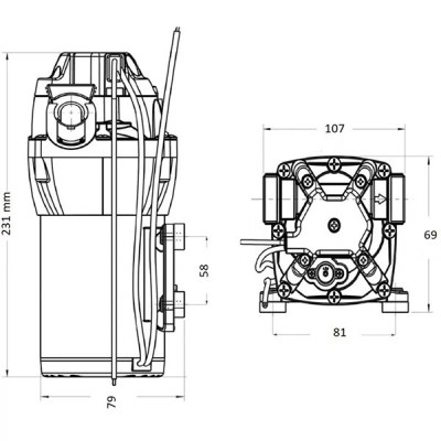 Автоматический насос Jabsco Par-Max 3 24 В - 11 л/мин - для пресной воды | Lyvio Marine