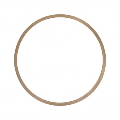 Gianneschi Paper Gasket for ACM 501 & 502 Pumps | Lyvio