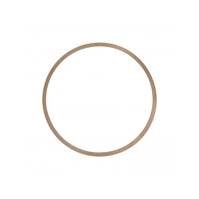 Gianneschi Paper Gasket for ACM 501 & 502 Pumps | Lyvio