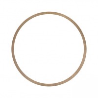 Gianneschi Paper Gasket for ACM 501 & 502 Pumps | Lyvio