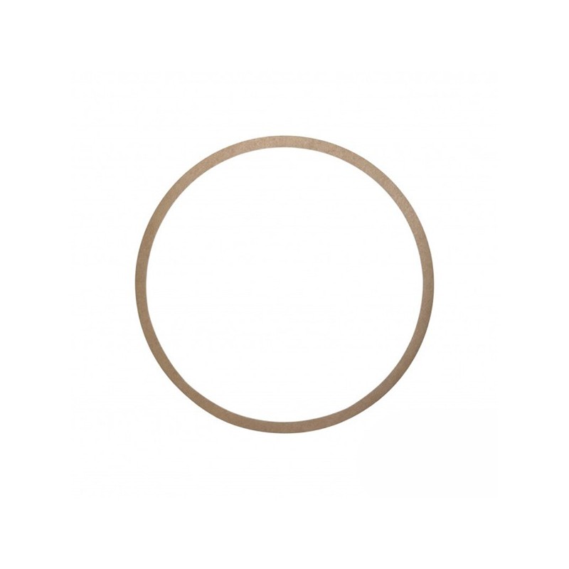 Gianneschi Paper Gasket for ACM 401 & 402 Pumps | Lyvio