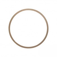 Gianneschi Paper Gasket for ACM 401 & 402 Pumps | Lyvio