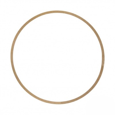 Gianneschi ACM 651/652 Pump Body Paper Gasket | Lyvio