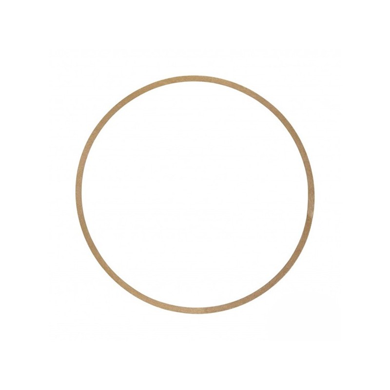 Gianneschi ACM 651/652 Pump Body Paper Gasket | Lyvio