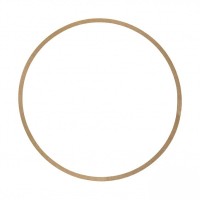 Gianneschi ACM 651/652 Pump Body Paper Gasket | Lyvio