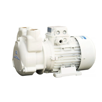 Pompe monobloc CP20/A1 (12V) Gianneschi