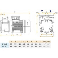 Pompe monobloc 230/380V pour bateau - Modèle CP40/G Gianneschi