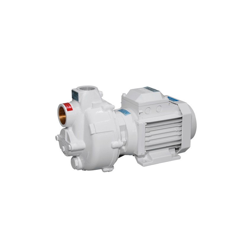 Pompa monoblocco Gianneschi BMA G32 230V Pompa di travaso monofase Lyvio Antibes