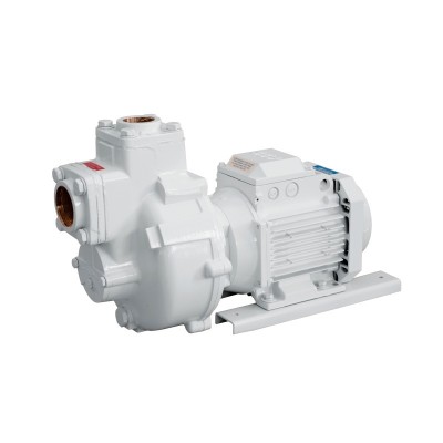 Pompe monobloc 230/400V pour bateau - Modèle BMA-G32 Gianneschi