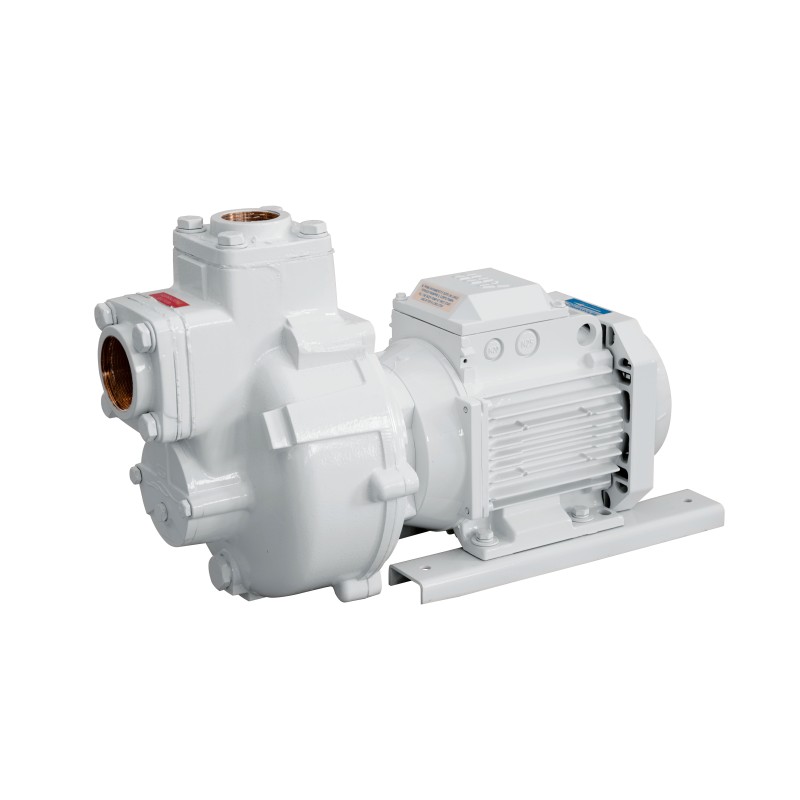 230/400V monobloc pump for boats - Model BMA-M40 Gianneschi