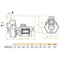 Pompe monobloc 230/400V pour bateau - Modèle BMA-M40 Gianneschi