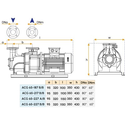 Motopompe pour bateau - Modèle ''Gigetta'' ACG 65-217/B/B Gianneschi