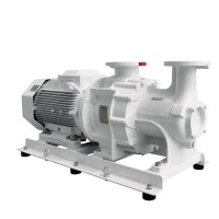 Motopompa ''Gigetta'' ACG 65-227/B/B Gianneschi