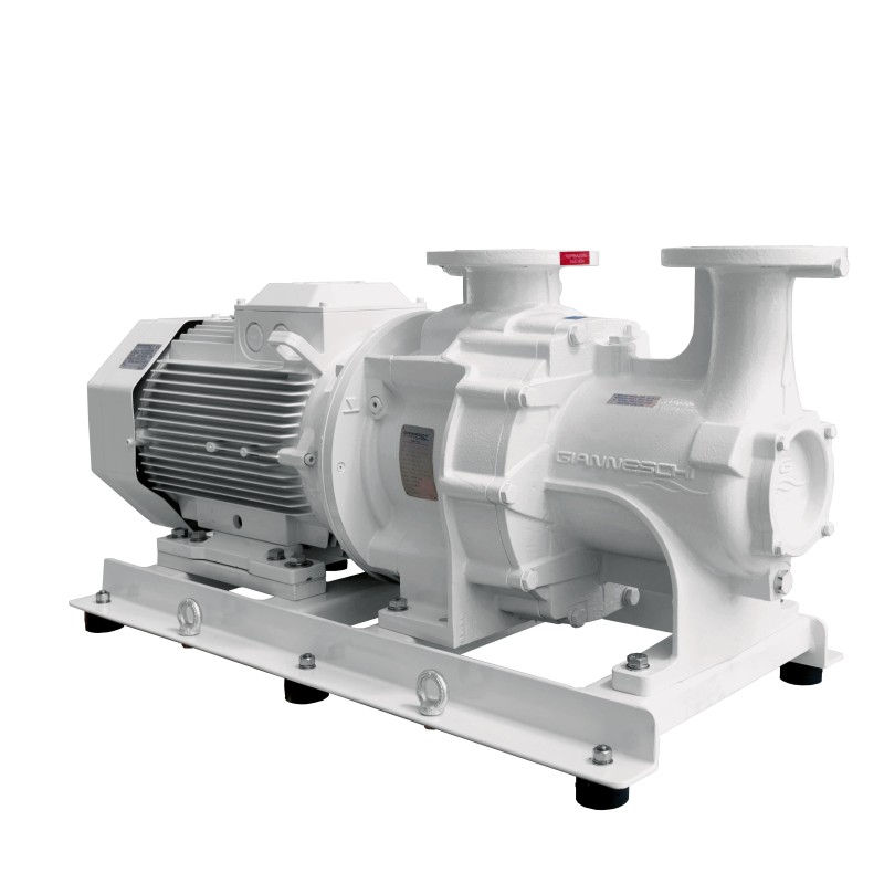 Boat motor pump - Model ''Gigetta'' ACG 65-227/B/B Gianneschi