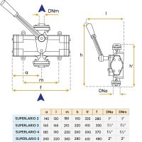 Pompe semi-rotative - Modèle SUPER LARIO 4 Gianneschi
