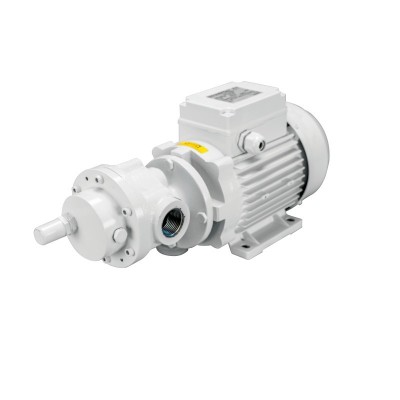 Pompe auto-amorçante 230V pour bateau - Modèle FQ10 Gianneschi