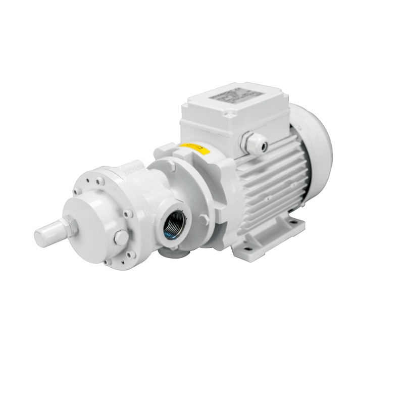 Pompa autoadescante 230/400V per imbarcazioni - Modello FQ40 Gianneschi