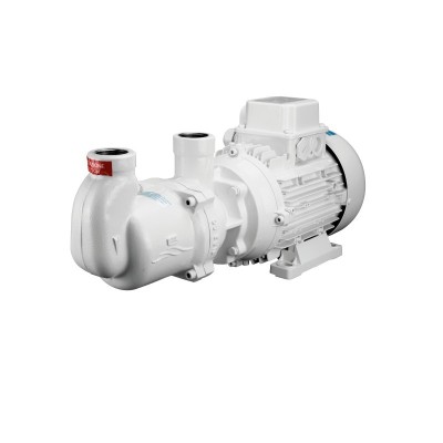 Pompe monobloc 230V pour bateau - Modèle MV44 G Gianneschi