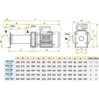 Pompa monoblocco 230/400V per imbarcazioni - Modello MVI60 Gianneschi