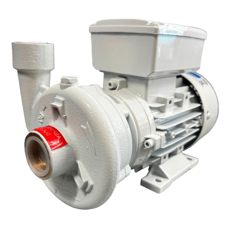 Pompa monoblocco Gianneschi CB20 87 230V Acqua dolce monofase Lyvio Antibes