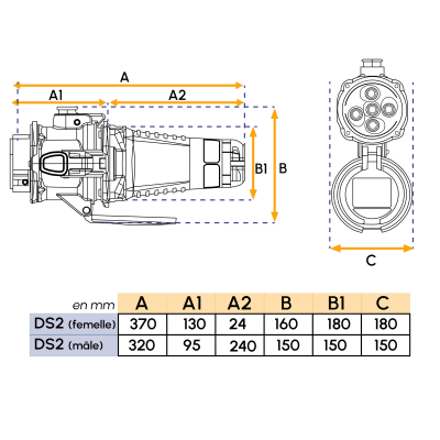 DS2 250A 3P+N+T Male Plug | Marechal Electric