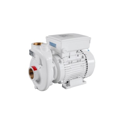 Pompe monobloc 230V pour bateau - Modèle CB40-110 AIR-X Gianneschi
