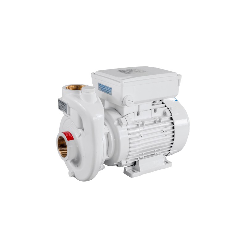 230V Monobloc Pump for Boat - Model CB40-110 AIR-X Gianneschi