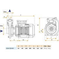 Pompe monobloc 230/380V pour bateau - ModèleCB41/1 Gianneschi