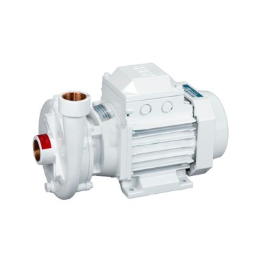 Pompe monobloc 230V (60Hz) pour bateau - Modèle CB160 RE Gianneschi