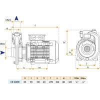 Pompe monobloc 230V (60Hz) pour bateau - Modèle CB160 RE Gianneschi