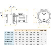 Pompe monobloc 110V (60Hz) pour bateau - Modèle ECOINOX 2/15 Gianneschi