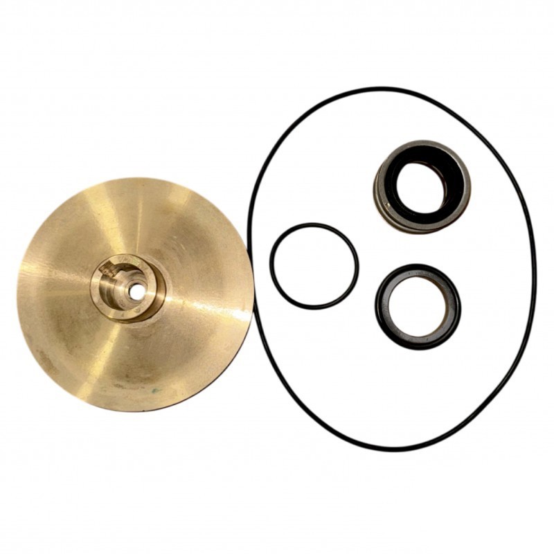 Repair kit for BMA-S 50/160 B 230/400V TR Gianneschi