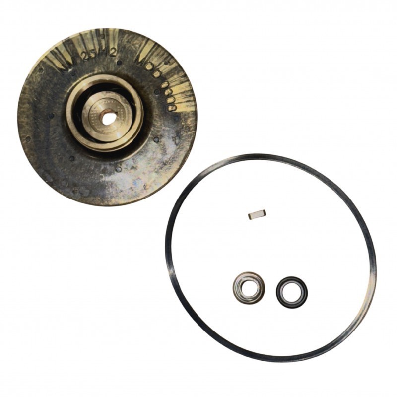 Kit de réparation pour CB 25/125 B 230/400V TR (50Hz) Gianneschi